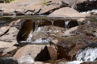 DSC_3596 (Large).JPG